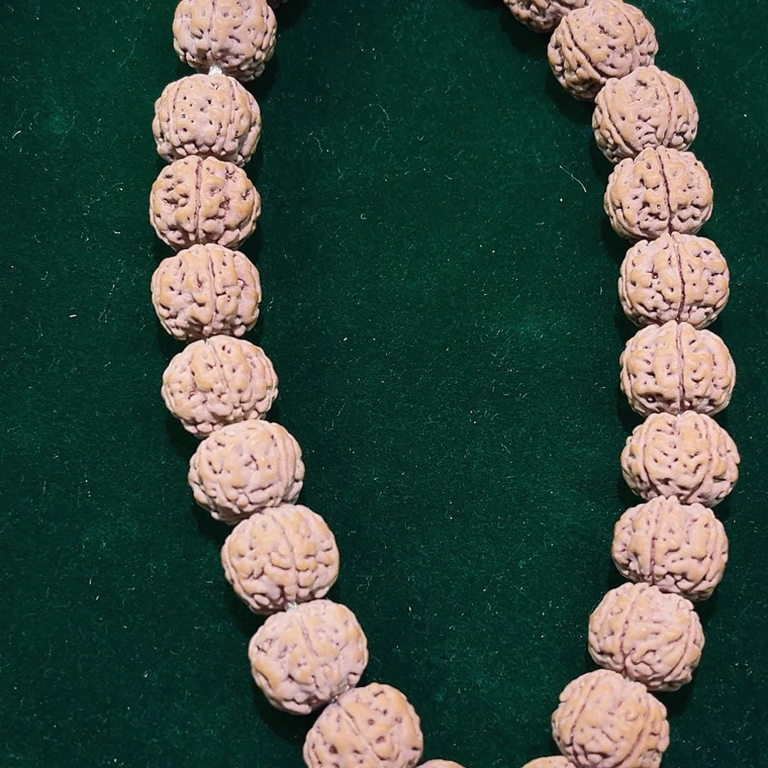 金刚菩提手串原生态纯血老树王单圈13