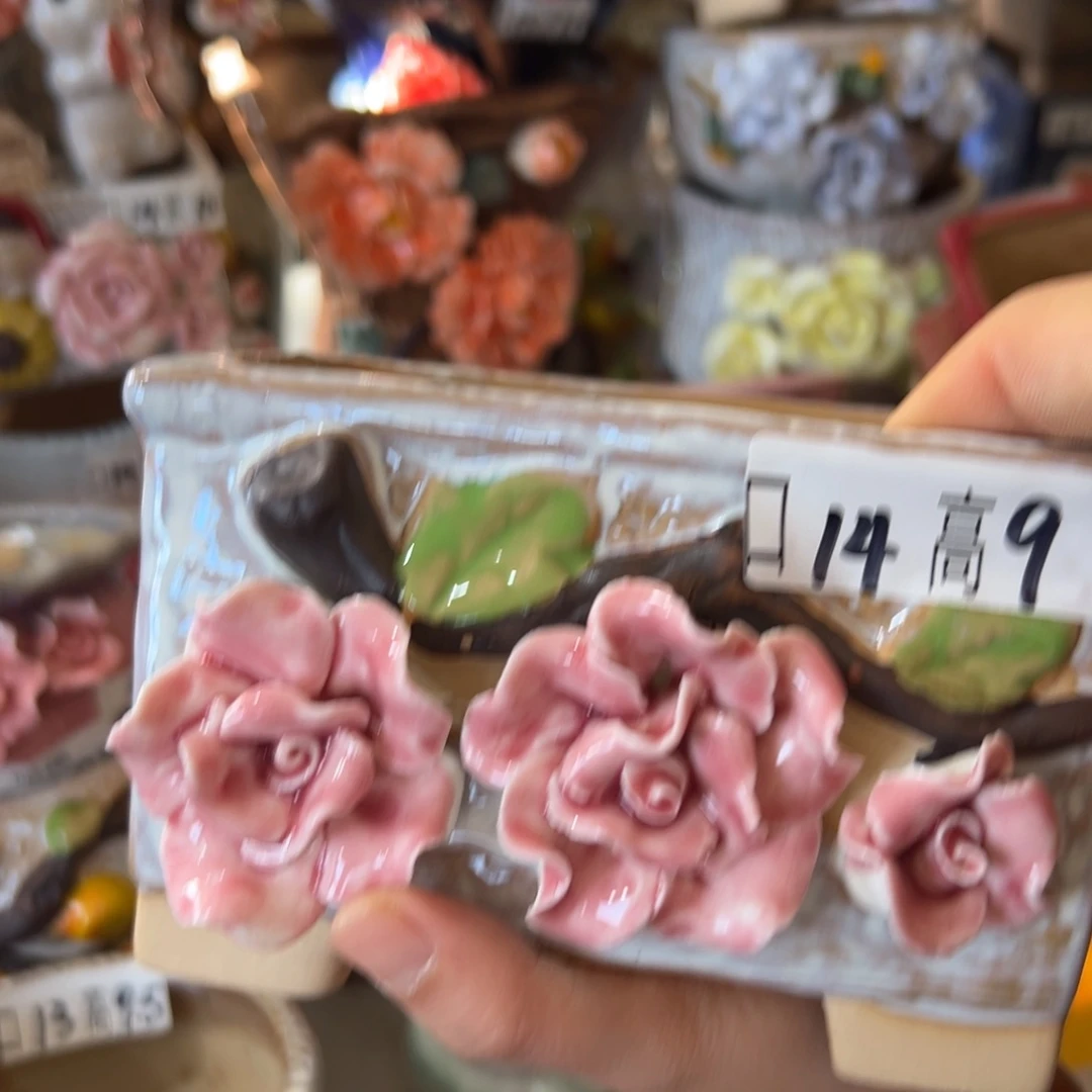 花盆，拍满20发货，退款拉黑