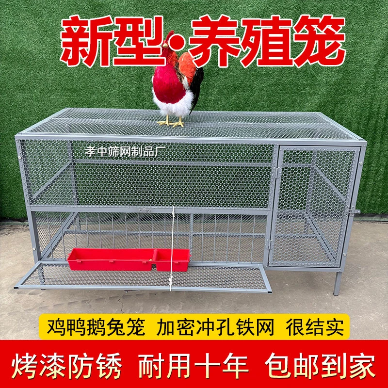 新型养殖鸡笼子家用室外大号方管密网防雨农村芦丁养殖笼防黄鼠狼