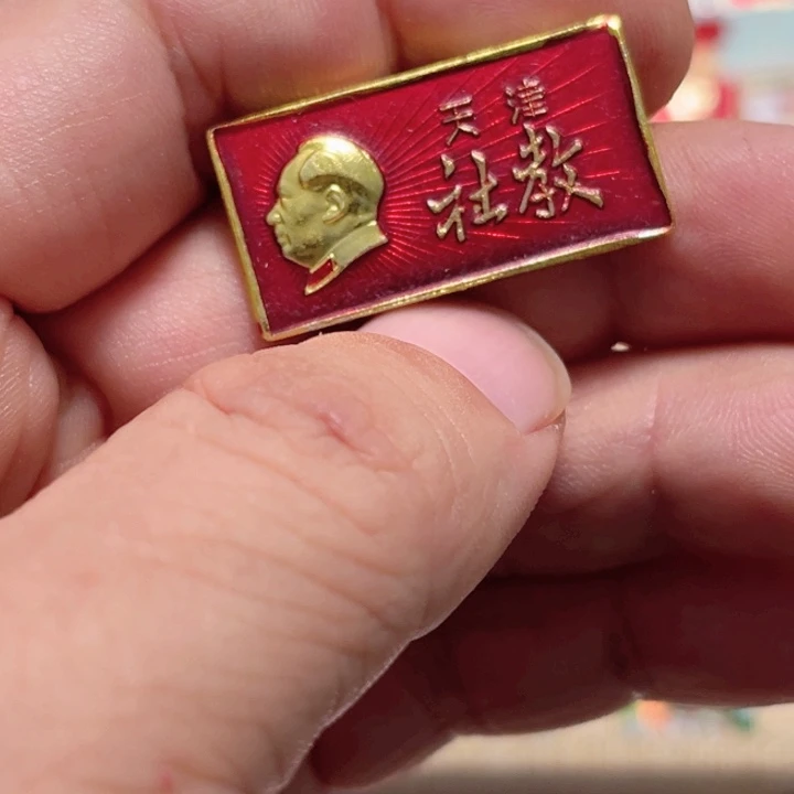 其他普通金属龍*風普通纪念章