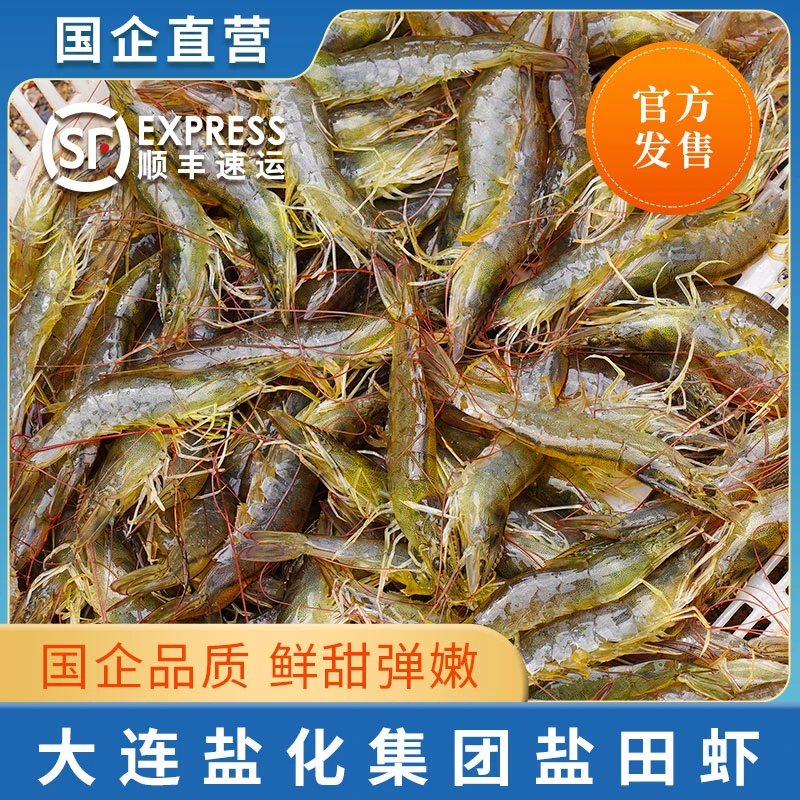 【活虾速冻】8斤复州湾盐场盐田虾【剥虾仁用】嫌小勿拍