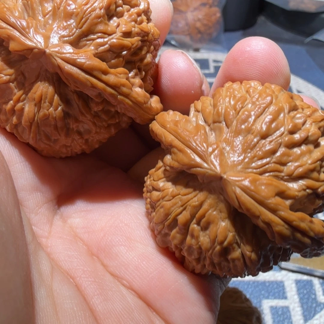 把件猴头核桃白狮子