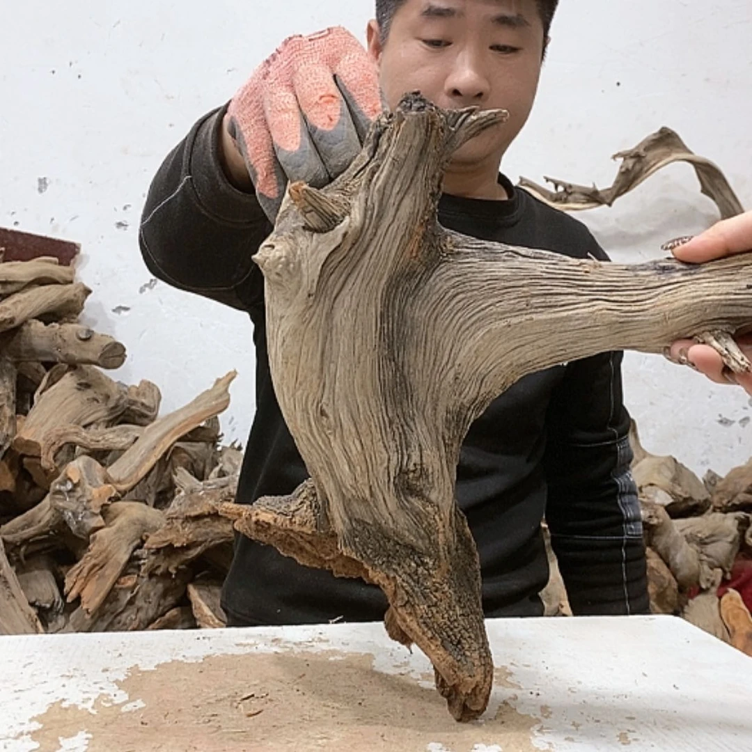 【闪购商品】柏木柏****品我们都是好孩子