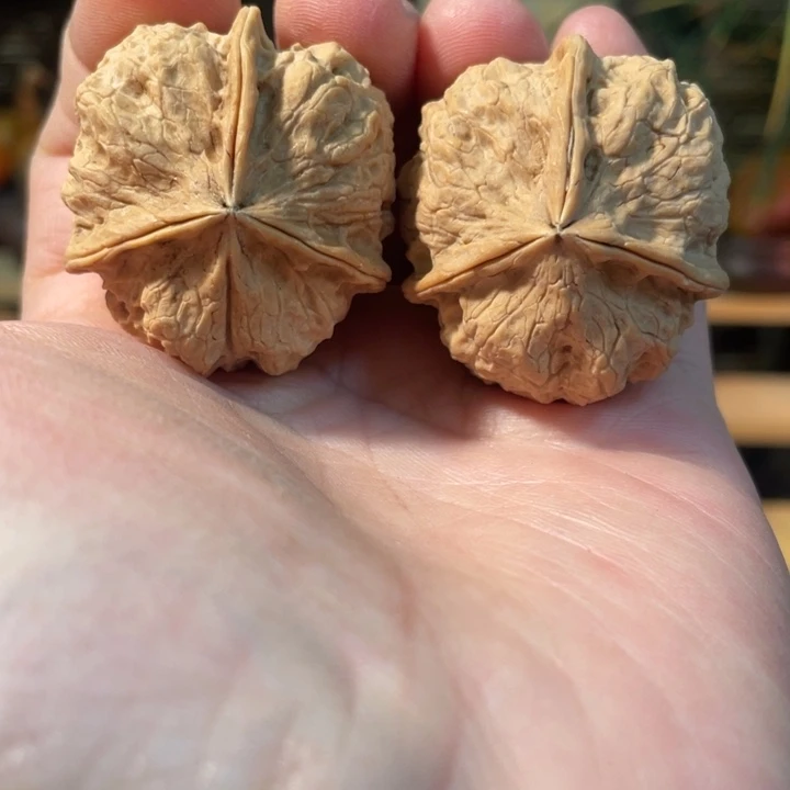 把件文玩核桃编号22