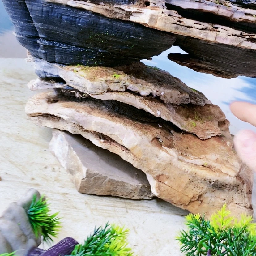 【闪购商品】用****8111