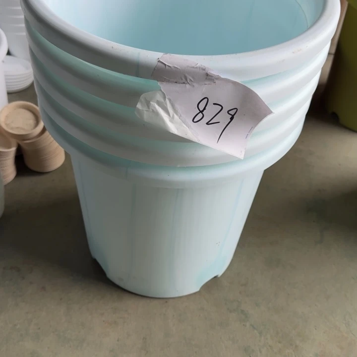 编号829瑕疵5个无托串色