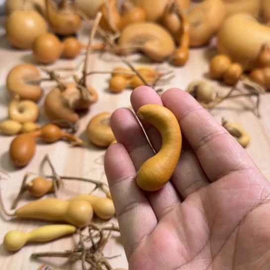 我们的生活也是如此的丰富多彩