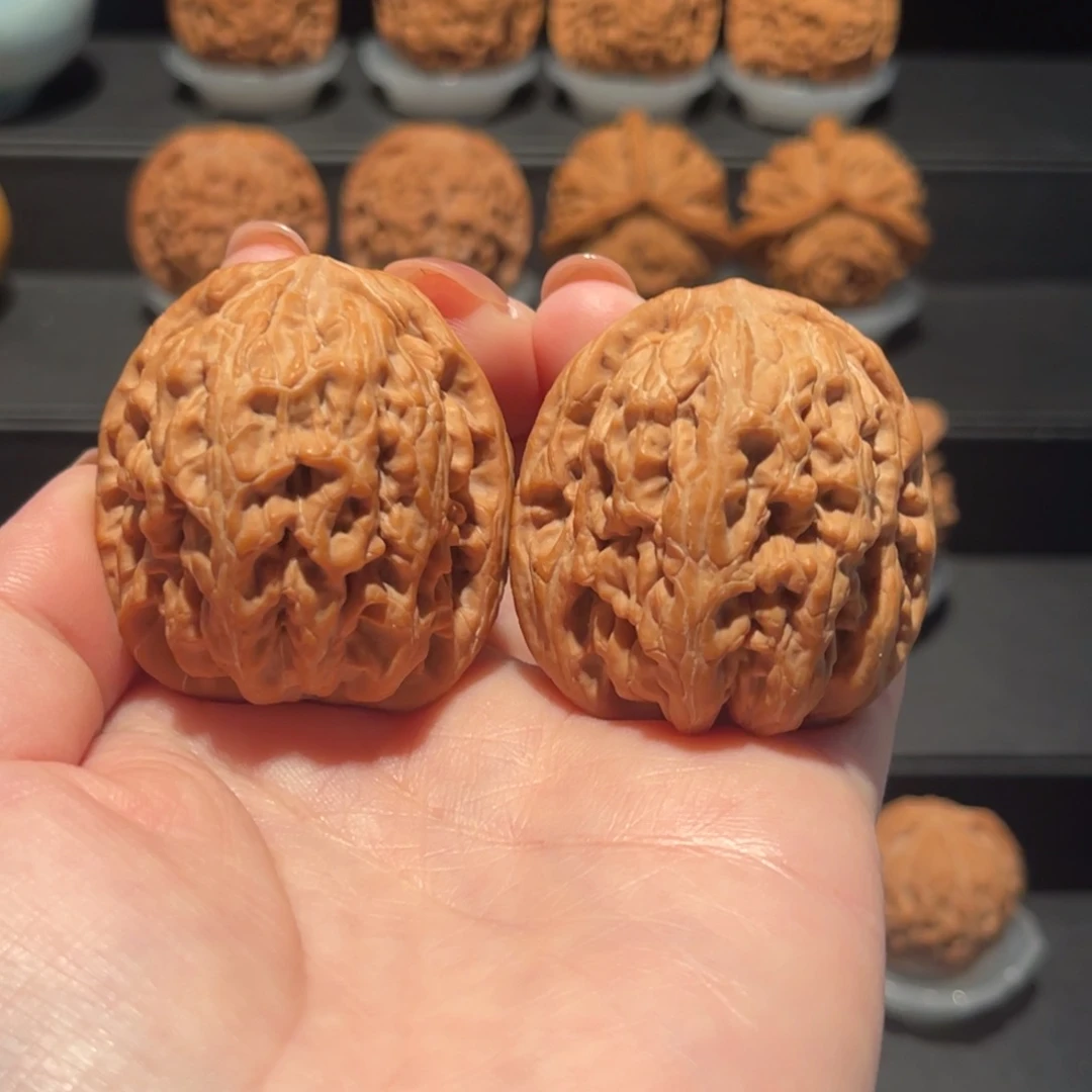 月****红锦鲤41精品，全品544