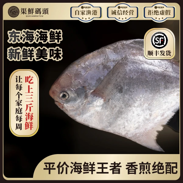 新鲜海捕东海小鲳鱼银鲳【不含冰净重500g*3包 5-7条/包】
