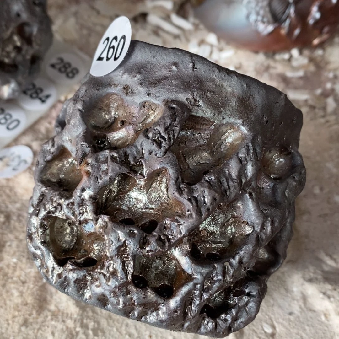 开窑大吉，高货多多！260