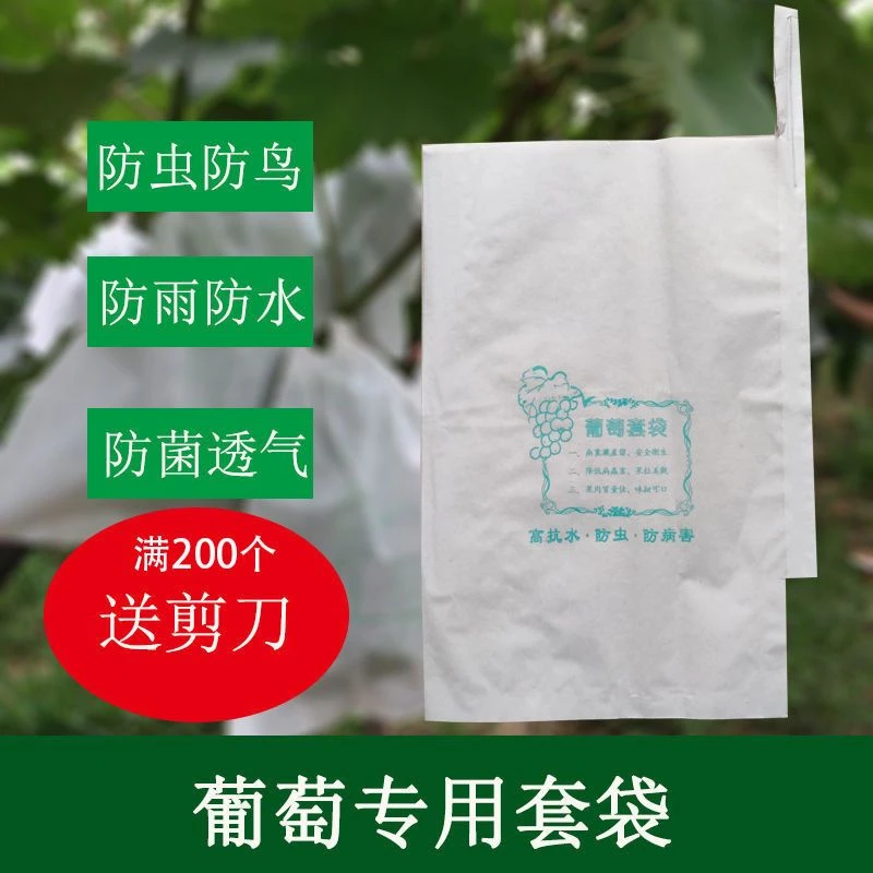 葡萄袋子一体露天葡萄套袋加厚专用套袋防尘防虫葡萄用纸袋育果袋