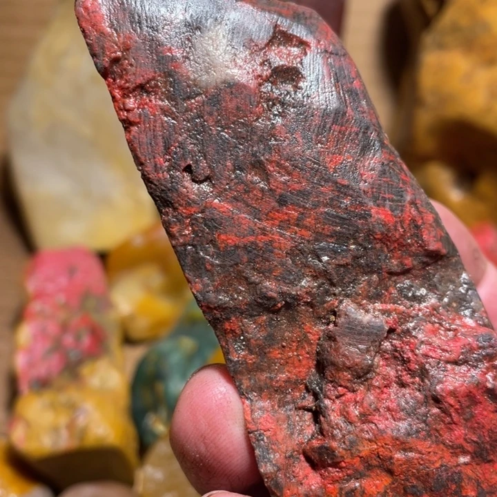 田黄石215克牛角鸡血石