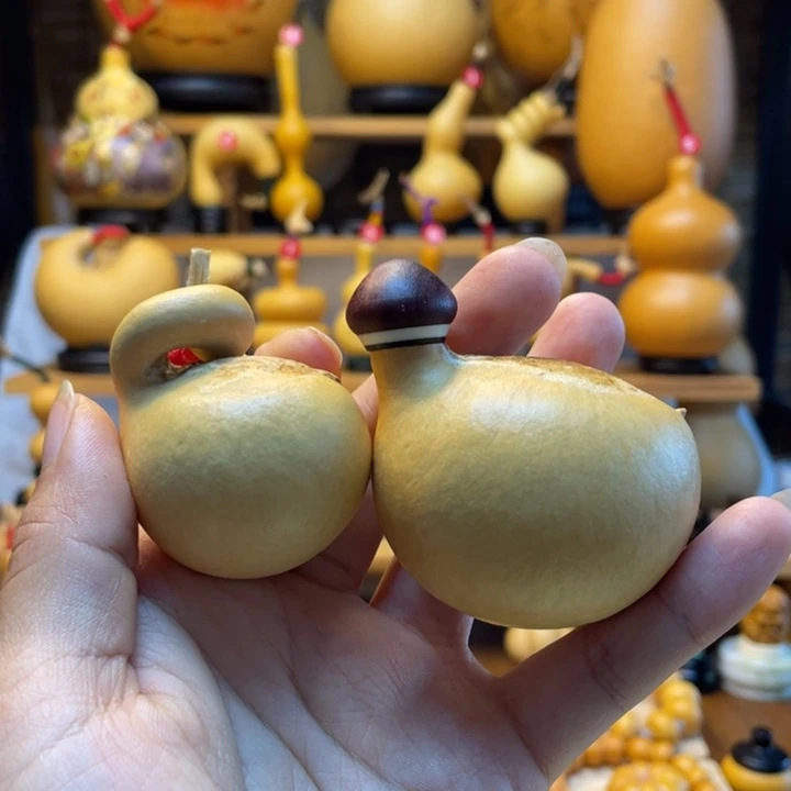 应***是天然葫芦自然生长
