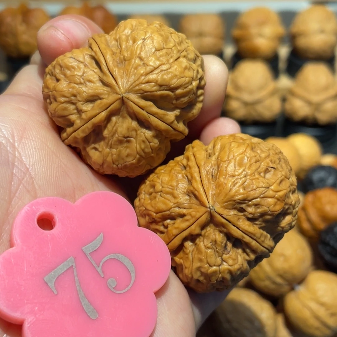 铁狮子三棱带彩核桃38。