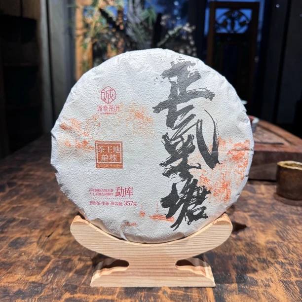 诚泰茶叶2023年正气塘茶王地单株357g生茶饼