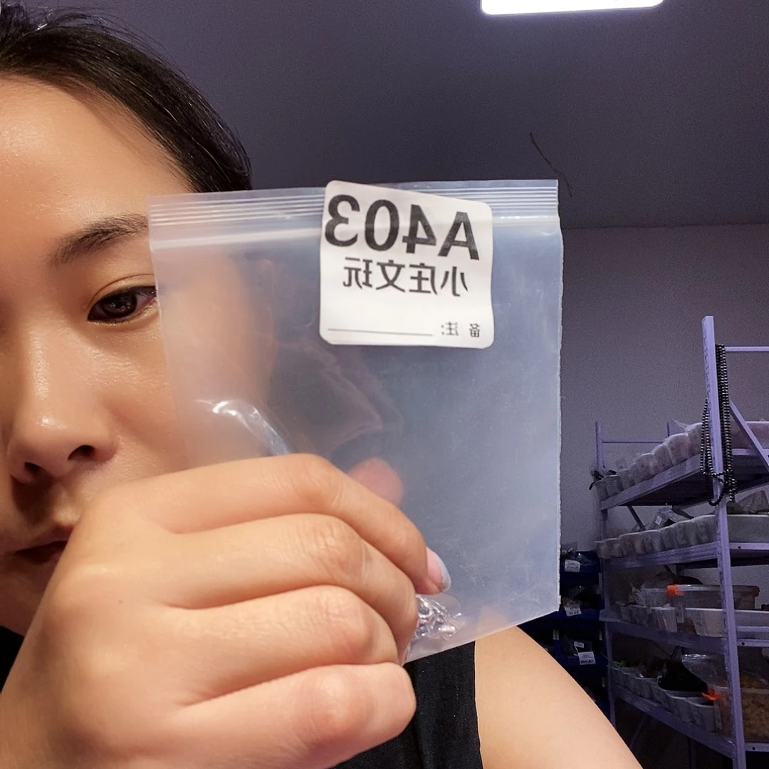 【闪购商品】黑檀木403