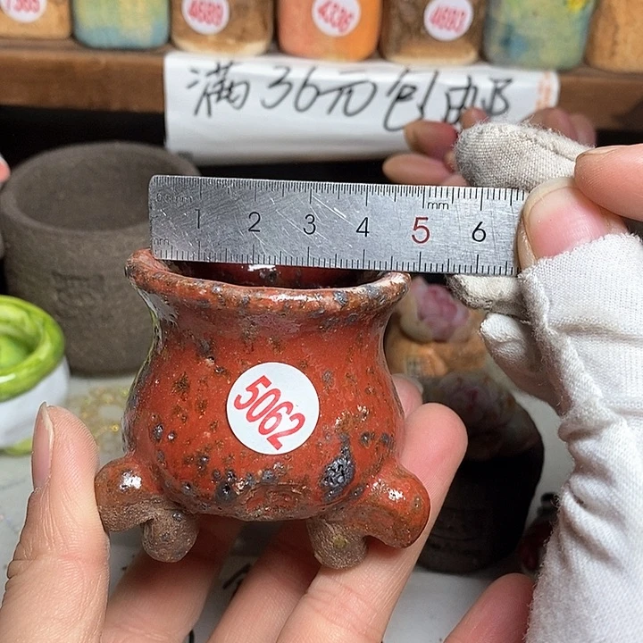 红陶拍5送一个小