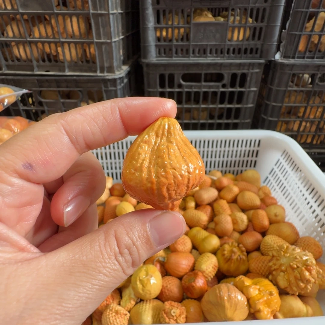 s***鹤特价抽葫芦不退不换