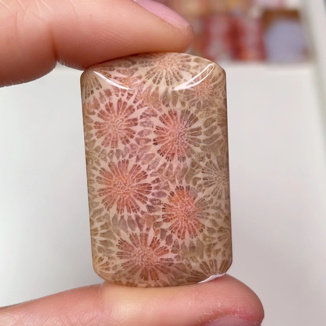 【闪购商品】未镶嵌吊坠(赠链)硅化玉