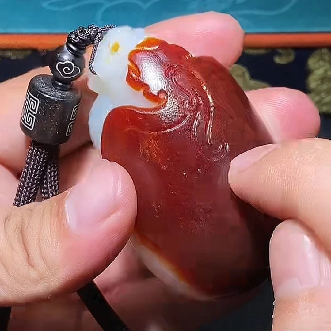 龙龟多样性拍一发一10.2 cc