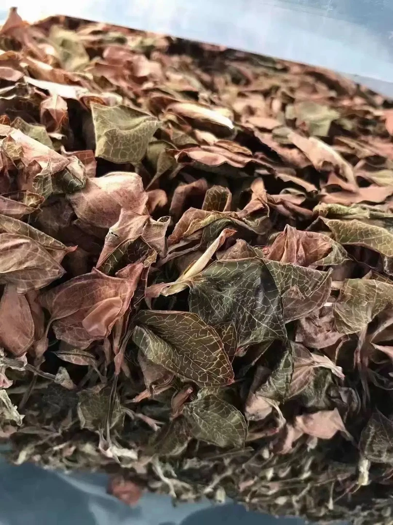 敏敏-金_线-莲泡水煲汤