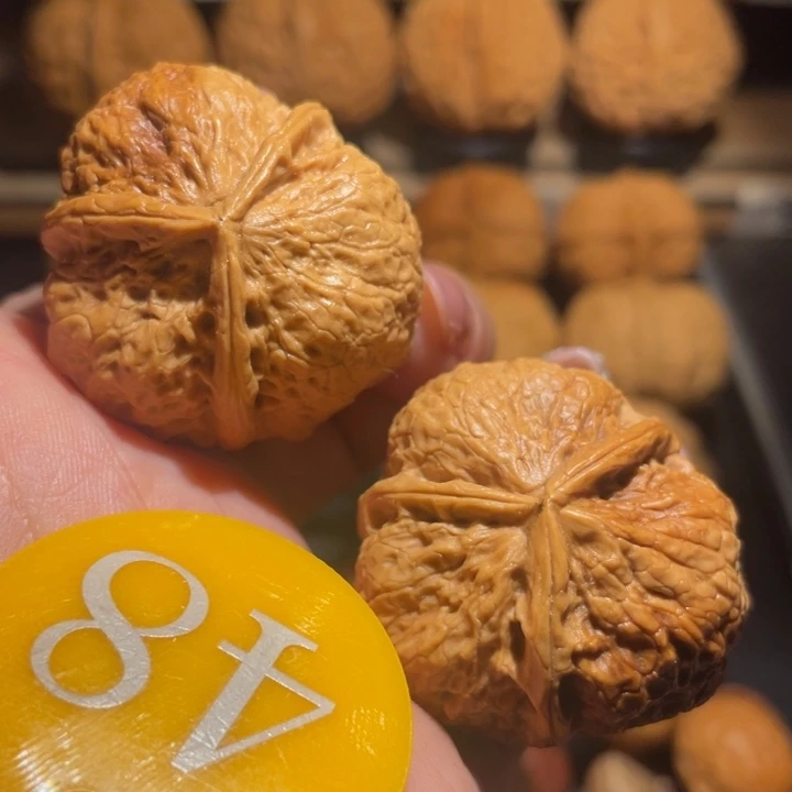 七彩花开富贵三棱尺寸37