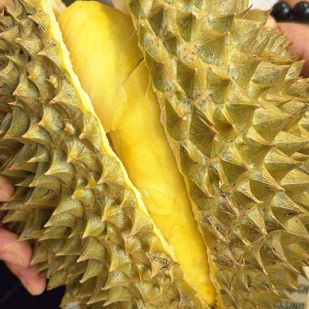 金枕头鲜榴莲软糯香甜核小肉厚3到10斤金枕泰国