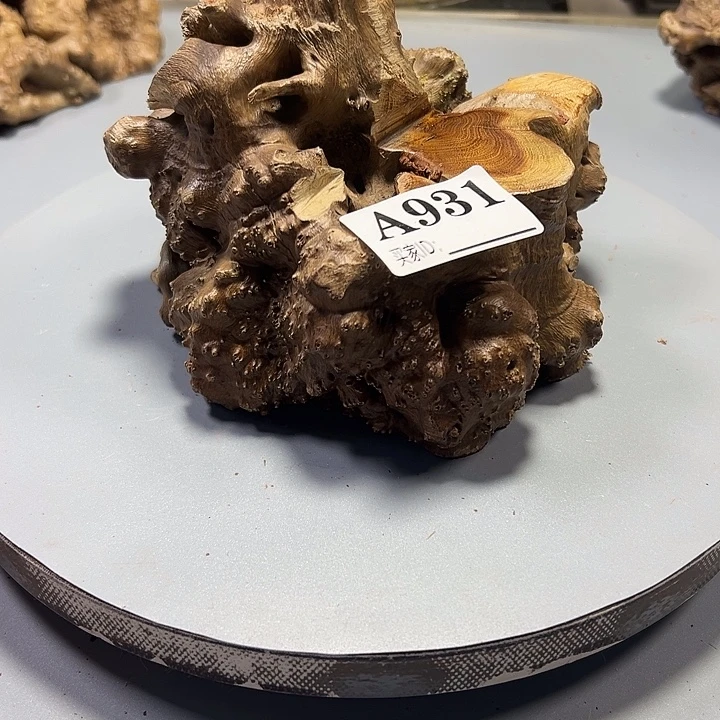 叶***秋大果紫檀（缅甸花梨）