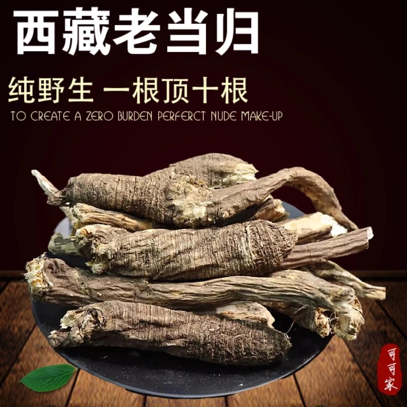 西藏高海拔野生藏当归煲汤香味浓郁