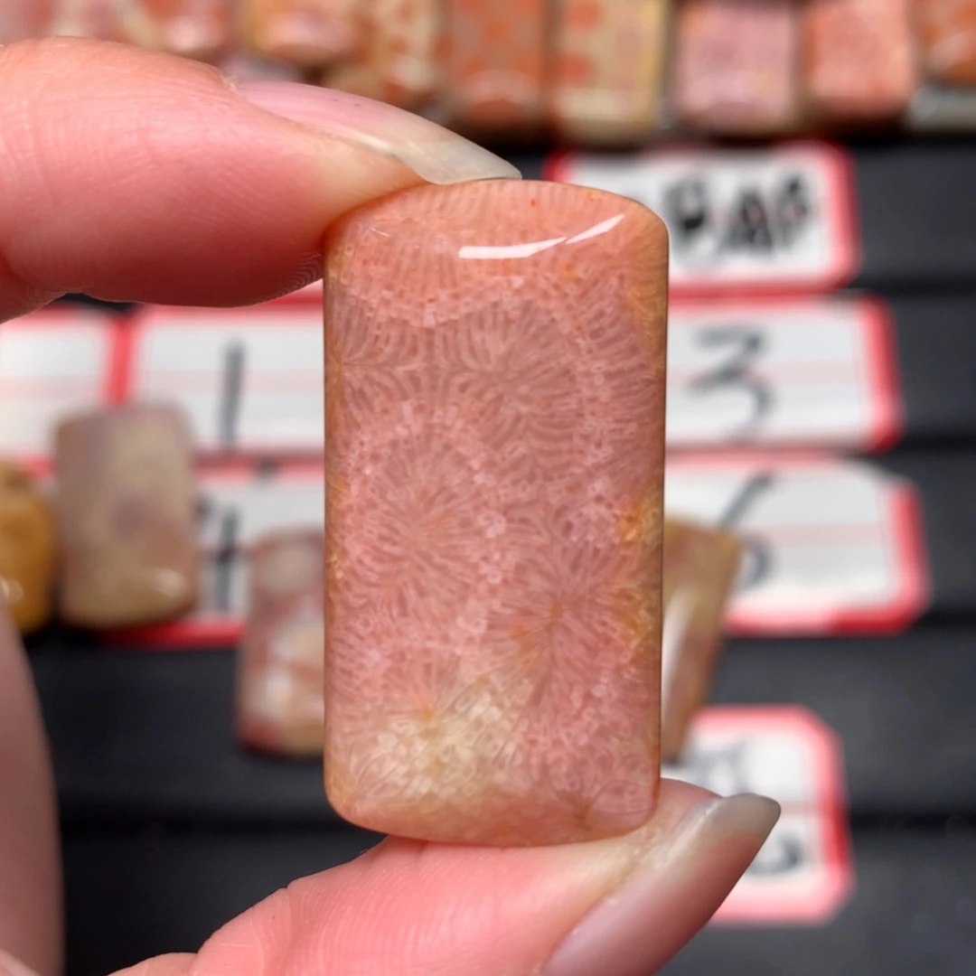 【闪购商品】未镶嵌颈饰硅化玉T***y