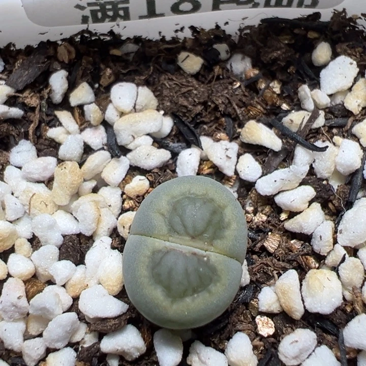 【闪购商品】 665。