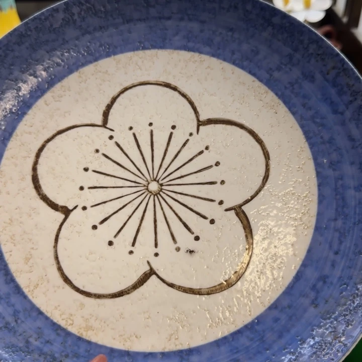 花***里瓷片一物一拍感谢支持