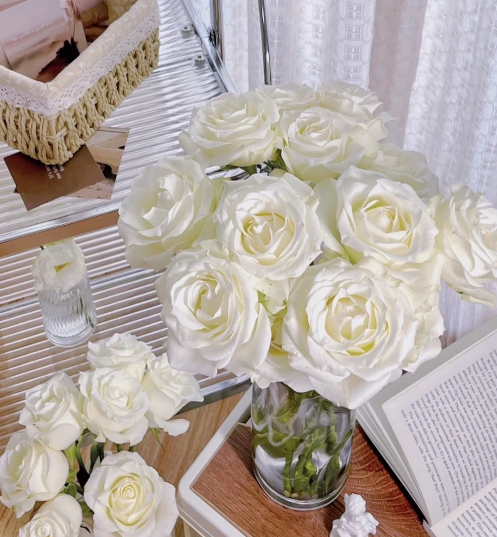 鲜切花白玫瑰18-20支