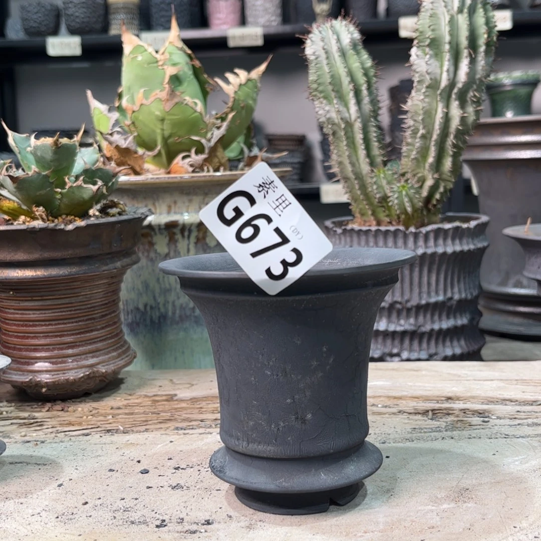 陶内口10.5高10口等着