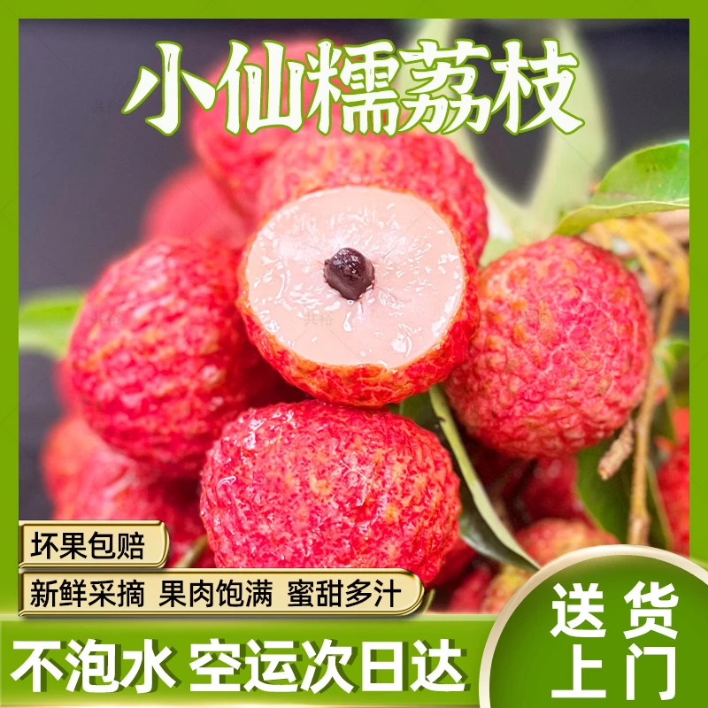 【顺丰次日达】现摘小仙糯荔枝增城发货新鲜带枝不泡水应季水果整箱3/5斤包邮广东省