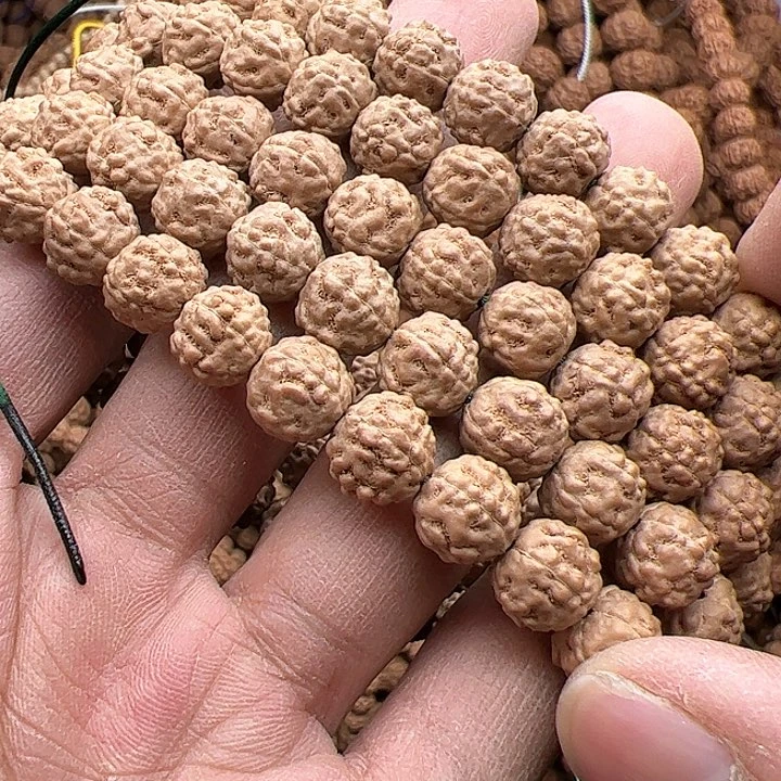 金刚菩提手串?**?蛤蟆背