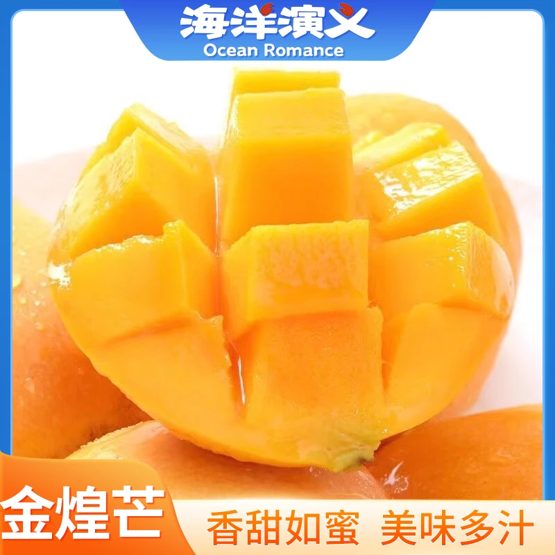海洋演义 金煌芒 2.25kg/箱（250-400g/个）
