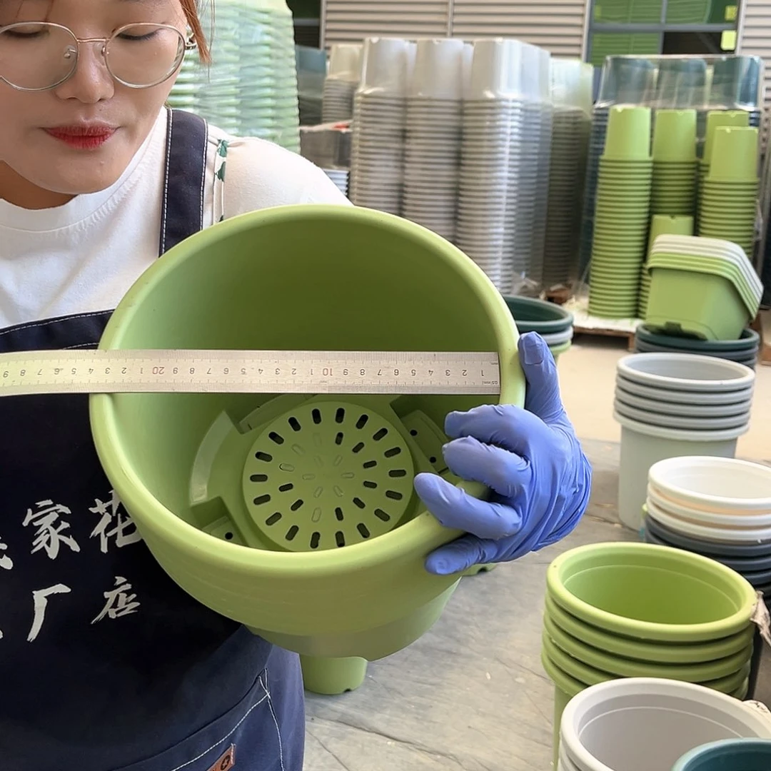 球根盆3#果绿色5个无托