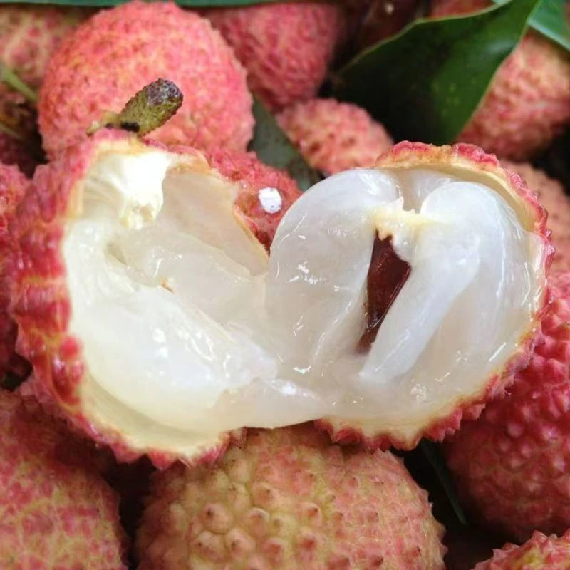 海南白糖罂荔枝新鲜现摘三斤装净重2.5斤五斤装净重4.5斤