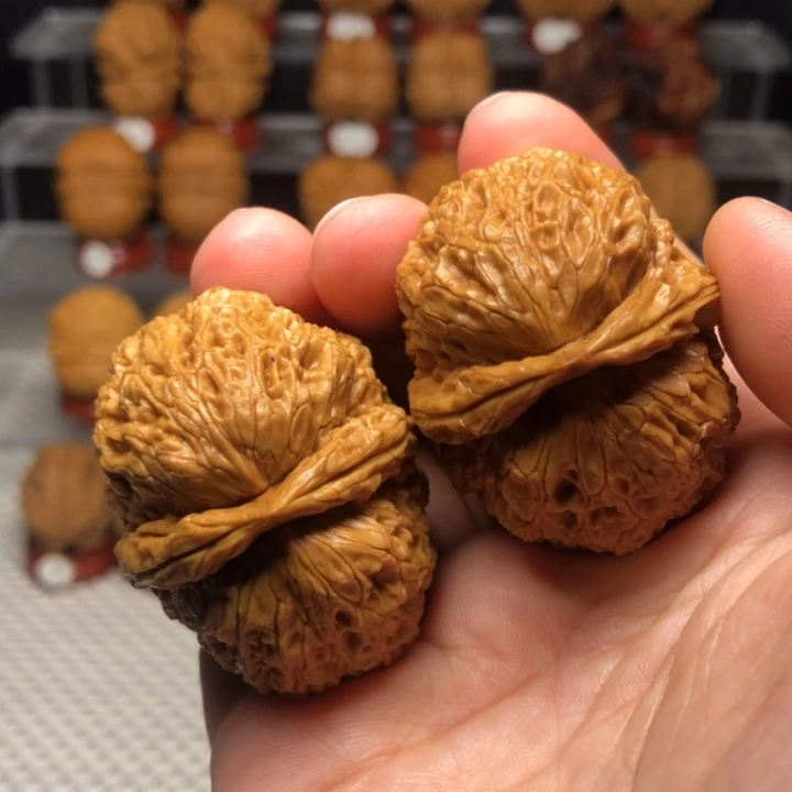 把件文玩核桃12食蚁兽