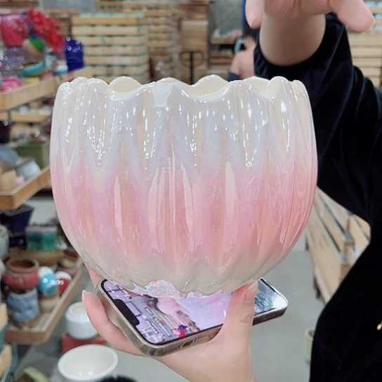 花盆凑单福利满10元发货！