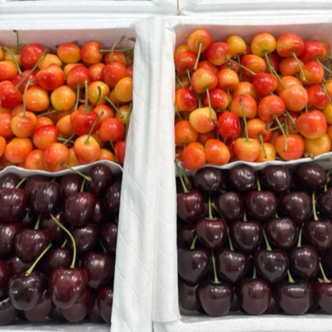 【双拼】美早➕美国红黄樱桃双拼顺丰包邮