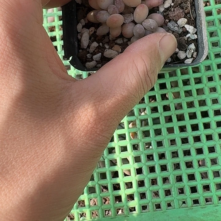 崇*?x h z x g hjy 372