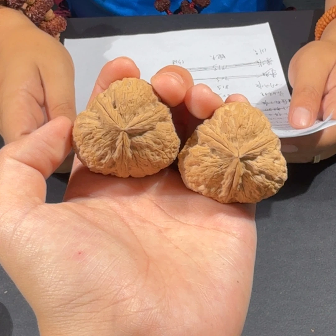 文玩核桃把件75号元宝三棱