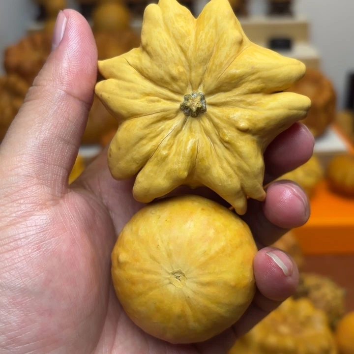 特价福利不退不换