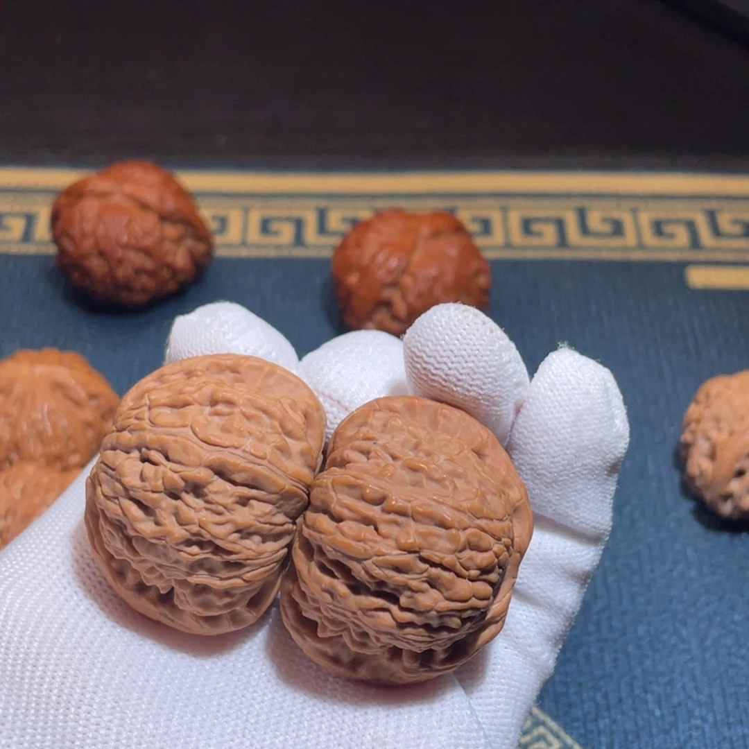 银S92539加全品白狮子