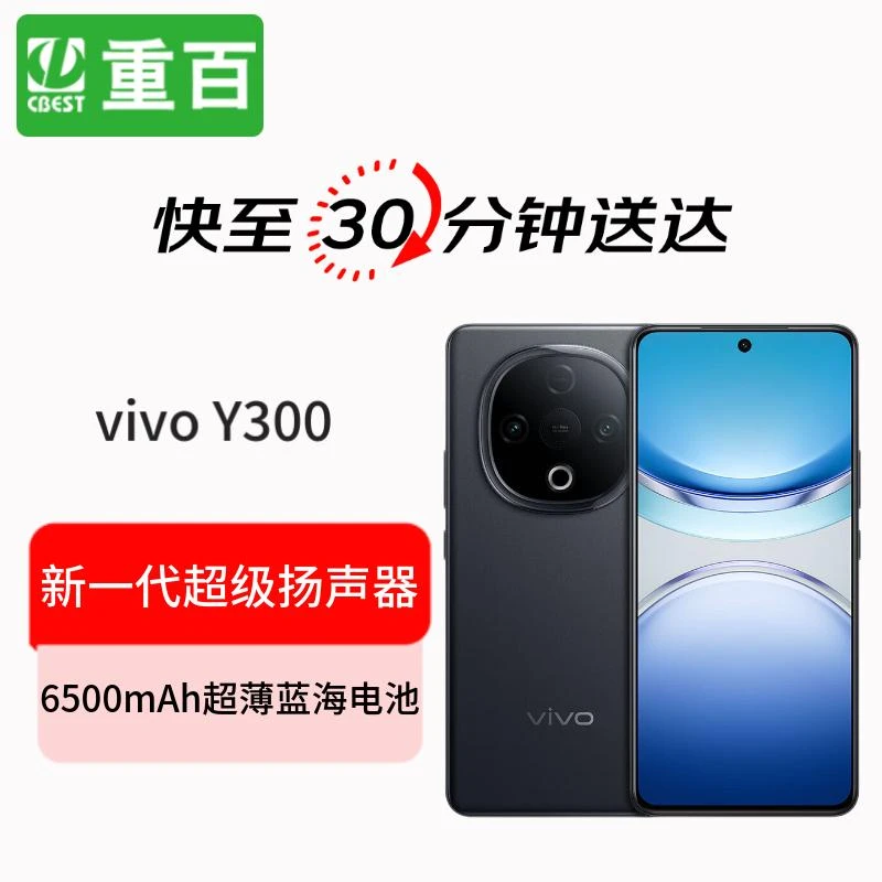 vivo vivo Y300 新一代超级扬声器 6500mAh超薄蓝海电池 超抗摔护眼直屏 拍照 AI 手机手机小时达