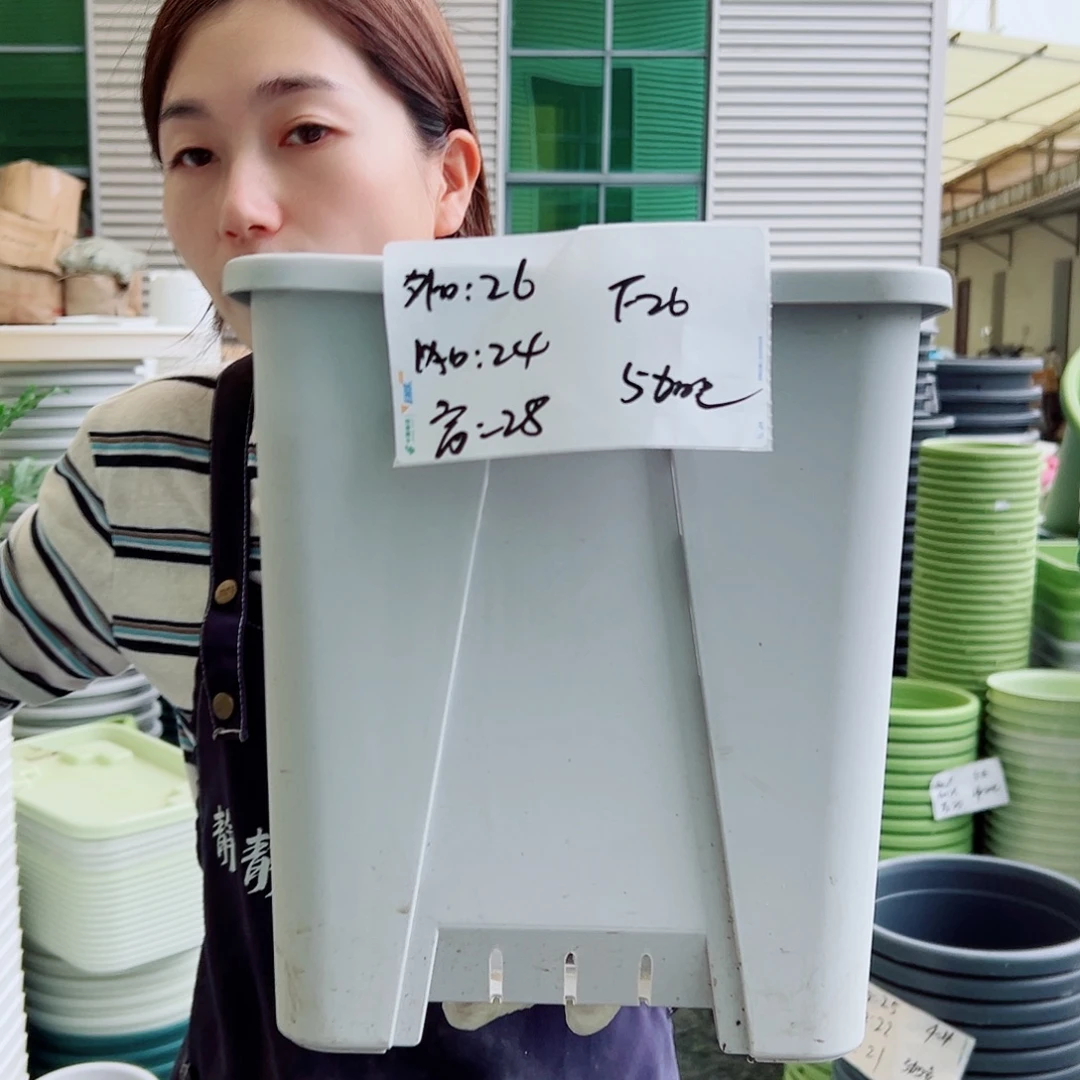 方盆F26灰白3个无托