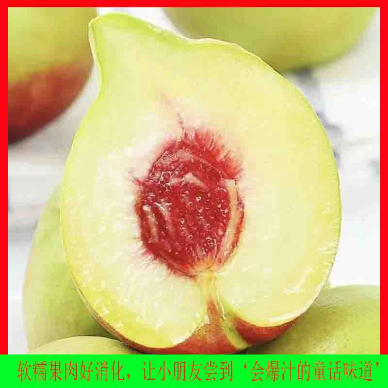 10斤毛桃现摘新鲜当季六月水果红蜜桃农家自种老品种大果鹰嘴桃子