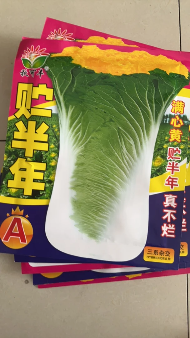 储半年A黄心大白菜籽